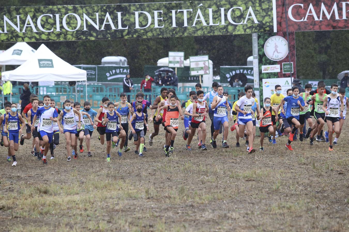 Celebración de las pruebas populares del Cross de Itálica