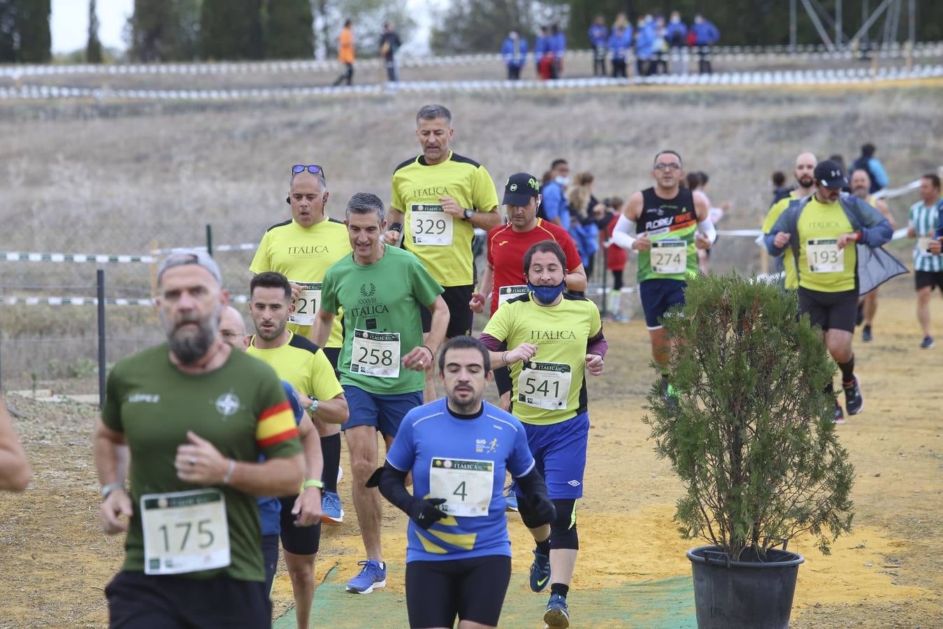 Celebración de las pruebas populares del Cross de Itálica