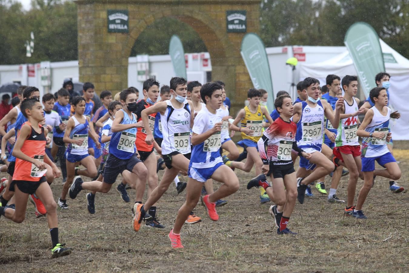 Celebración de las pruebas populares del Cross de Itálica