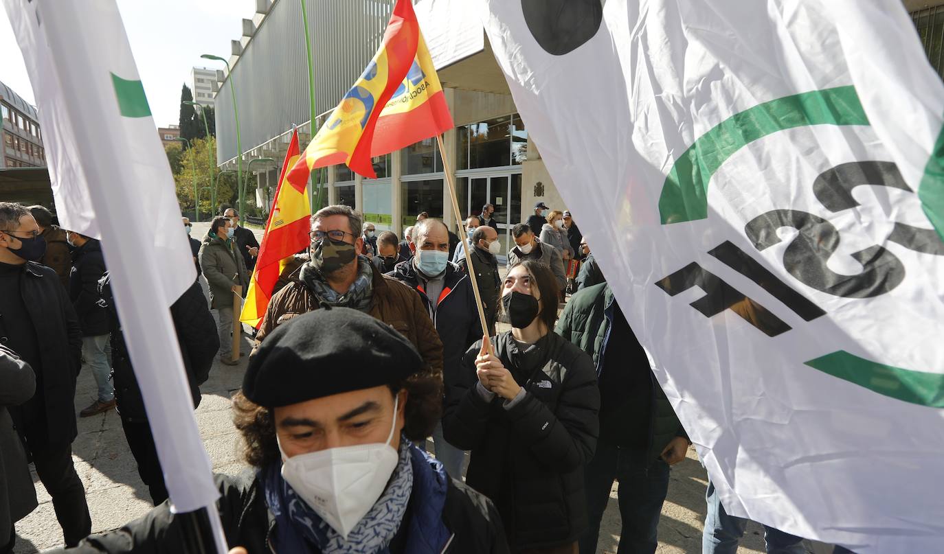 La manifestación de la plataforma &#039;No a la España insegura&#039;, en imágenes