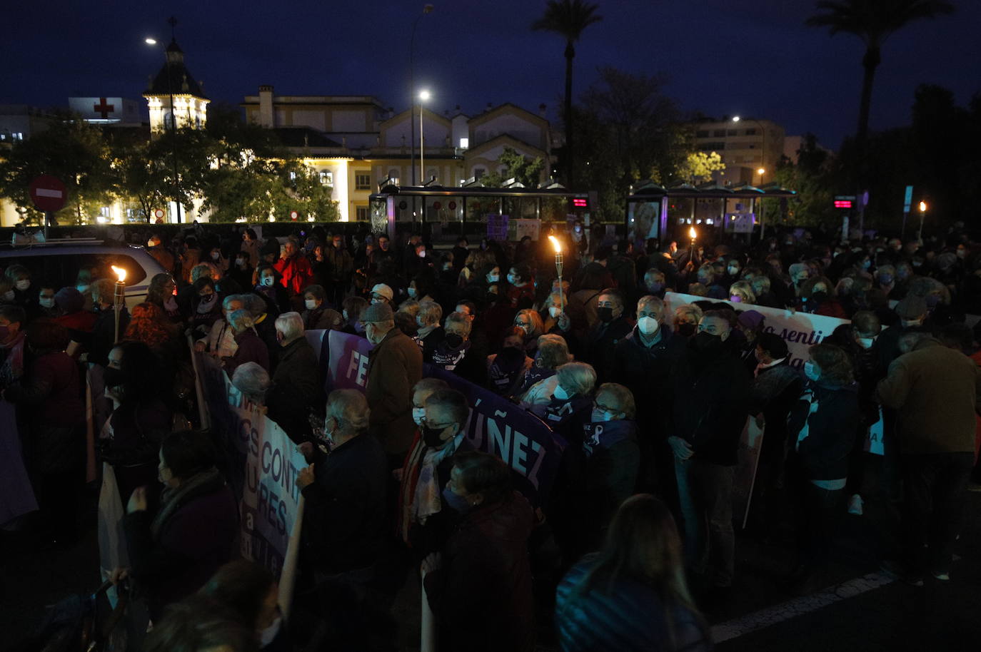 La manifestación contra la violencia machista en Córdoba, en imágenes