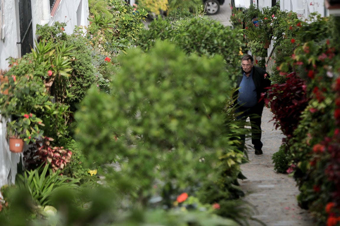 En imágenes: El Gastor, el balcón de los Pueblos Blancos