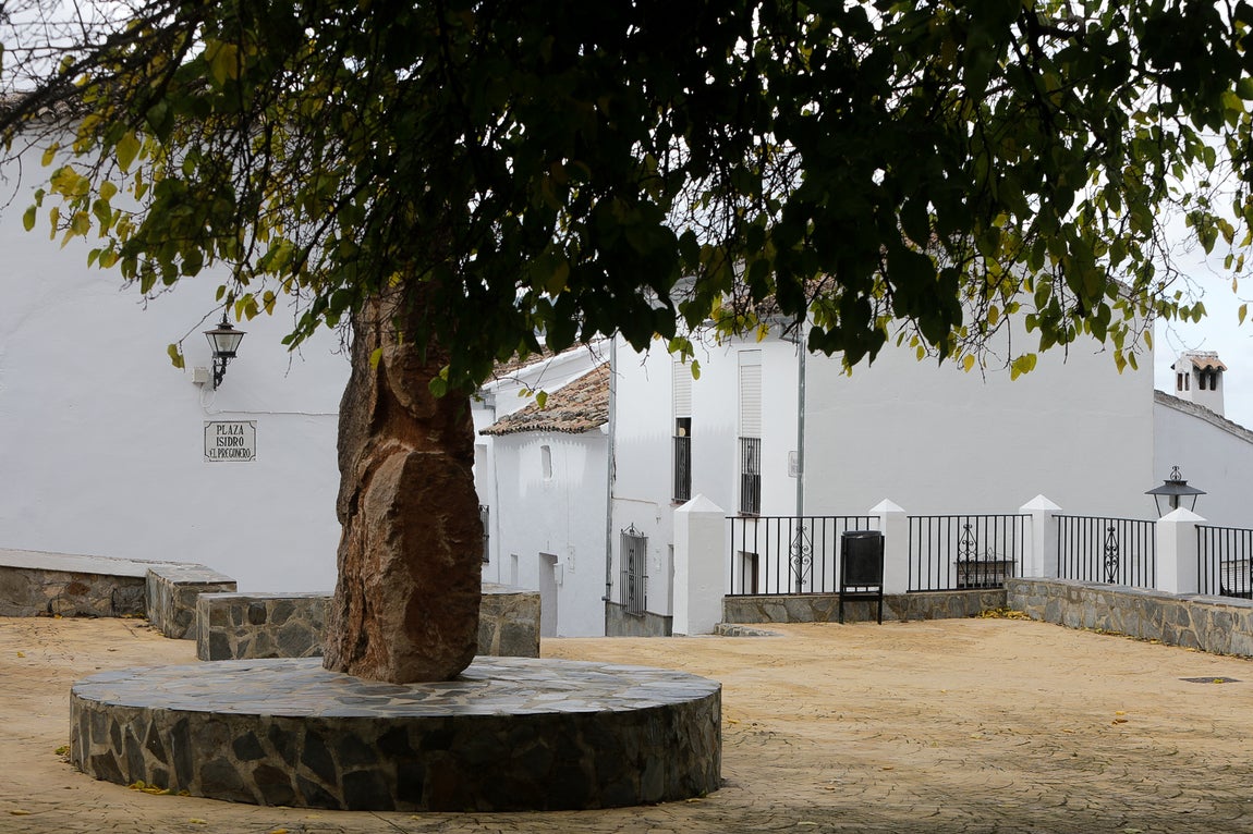 En imágenes: El Gastor, el balcón de los Pueblos Blancos