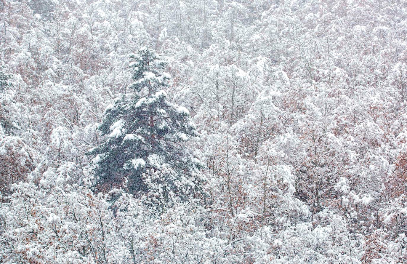 Arwen deja 13 comunidades en alerta, 6 de ellas en aviso naranja por nieve. Copiosa nevada caída este sábado en Villanueva (La Rioja). La cota de la nieve bajará hasta los 400 y 600 metros en La Rioja, donde las temperaturas mínimas estarán en descenso y las máximas sin cambios.