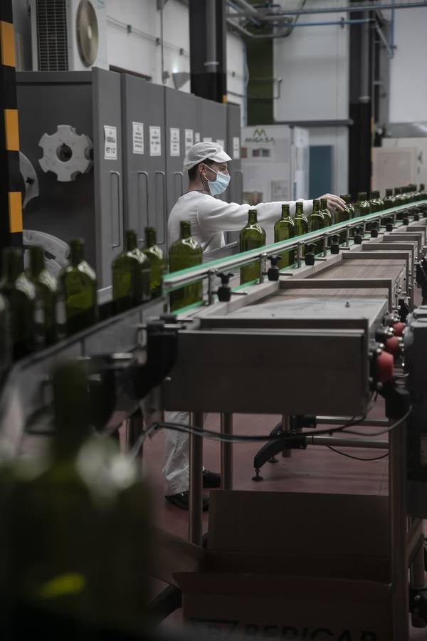 En imágenes, la planta de Migasa en Córdoba