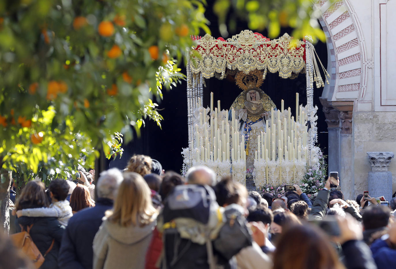 La procesión de acción de gracias de la Virgen de la Salud en Córdoba, en imágenes