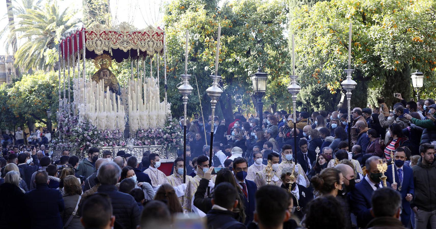 La procesión de acción de gracias de la Virgen de la Salud en Córdoba, en imágenes