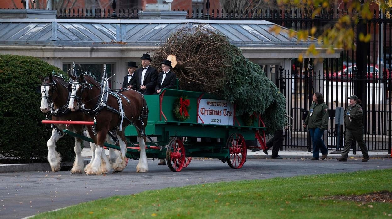 La Navidad llega a la Casa Blanca, en imágenes