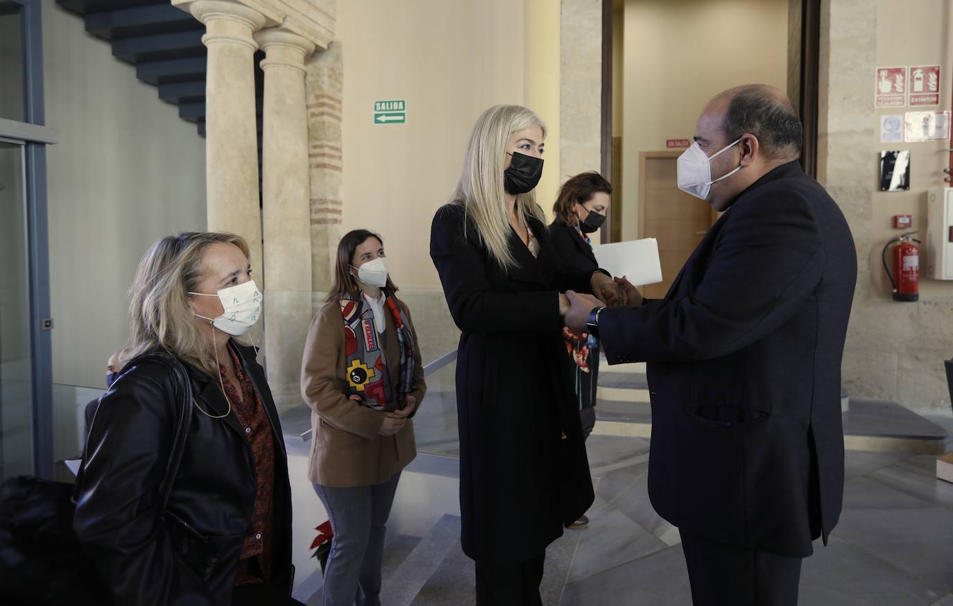 La presentación del Plan Director de la Mezquita-Catedral de Córdoba, en imágenes