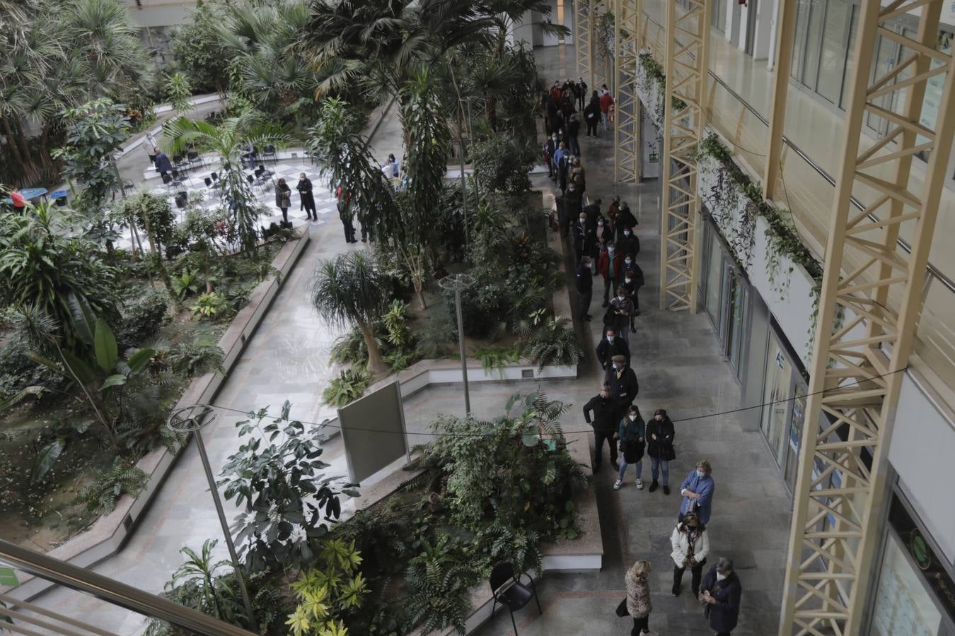 FOTOS: Colas en Cádiz para recibir la tercera dosis del Covid y la vacuna de la gripe