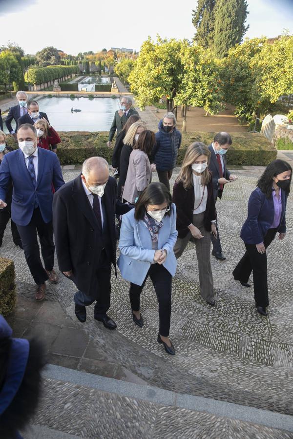 El pleno del Consejo de Salud en Córdoba, en imágenes