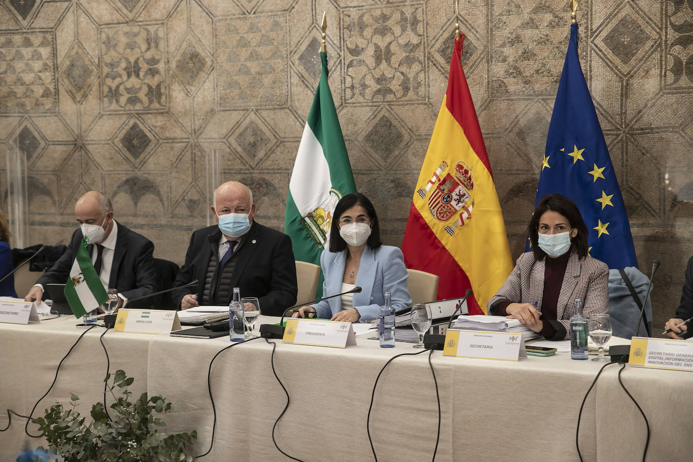 El pleno del Consejo de Salud en Córdoba, en imágenes