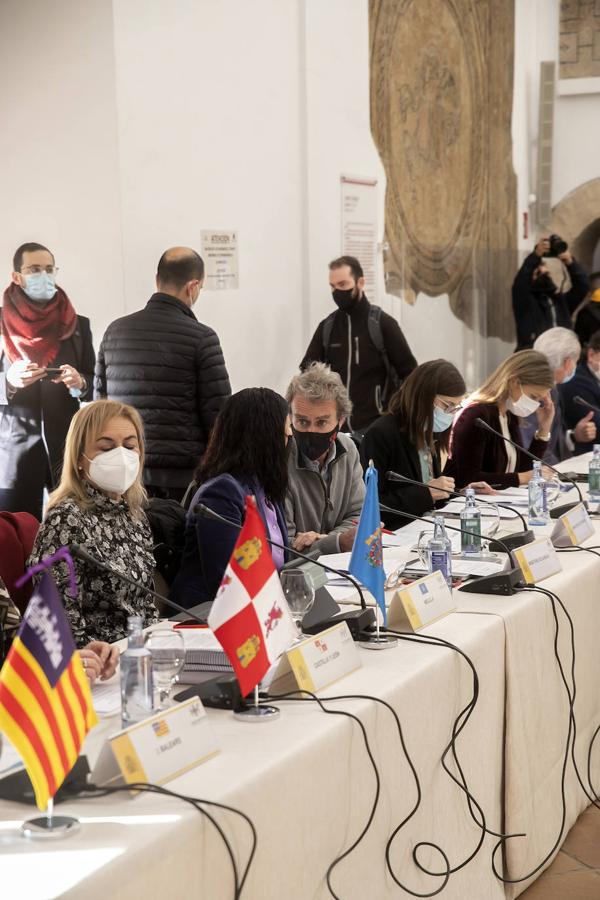 El pleno del Consejo de Salud en Córdoba, en imágenes