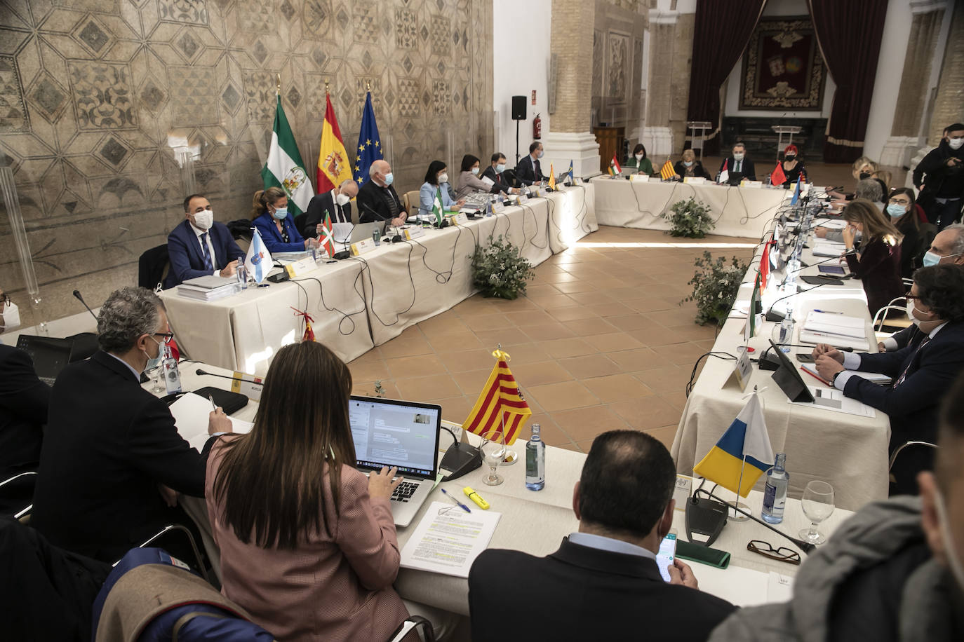 El pleno del Consejo de Salud en Córdoba, en imágenes