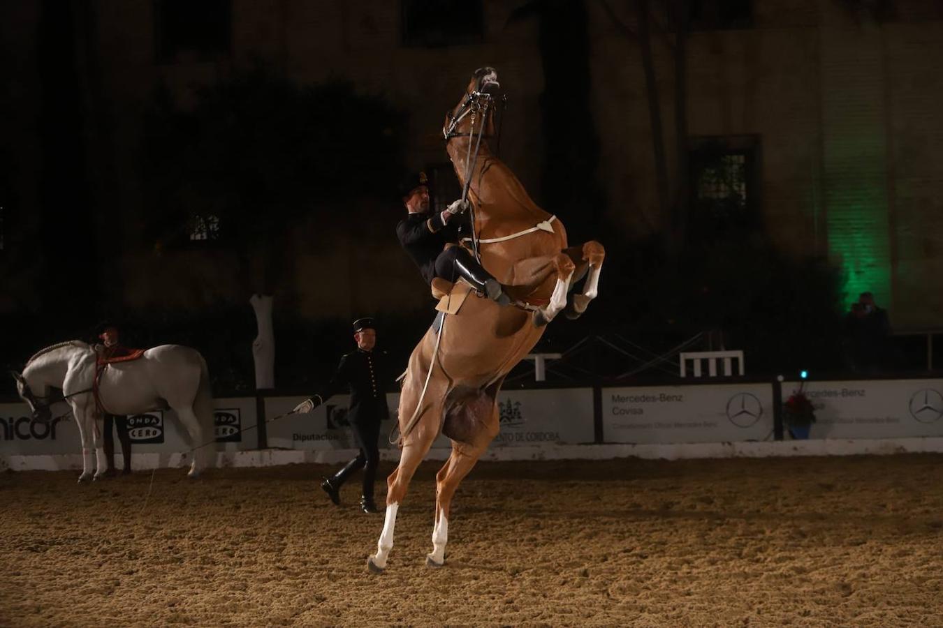 El espectáculo de Cadre Noir en Caballerizas Reales, en imágenes