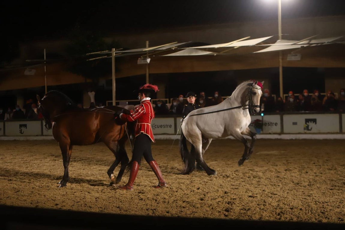 El espectáculo de Cadre Noir en Caballerizas Reales, en imágenes