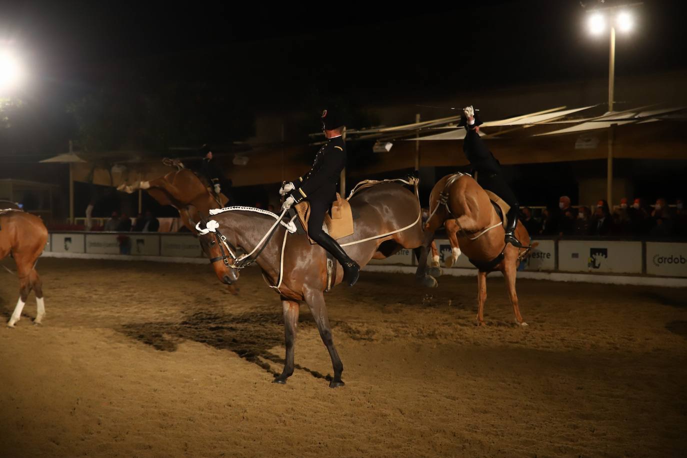 El espectáculo de Cadre Noir en Caballerizas Reales, en imágenes