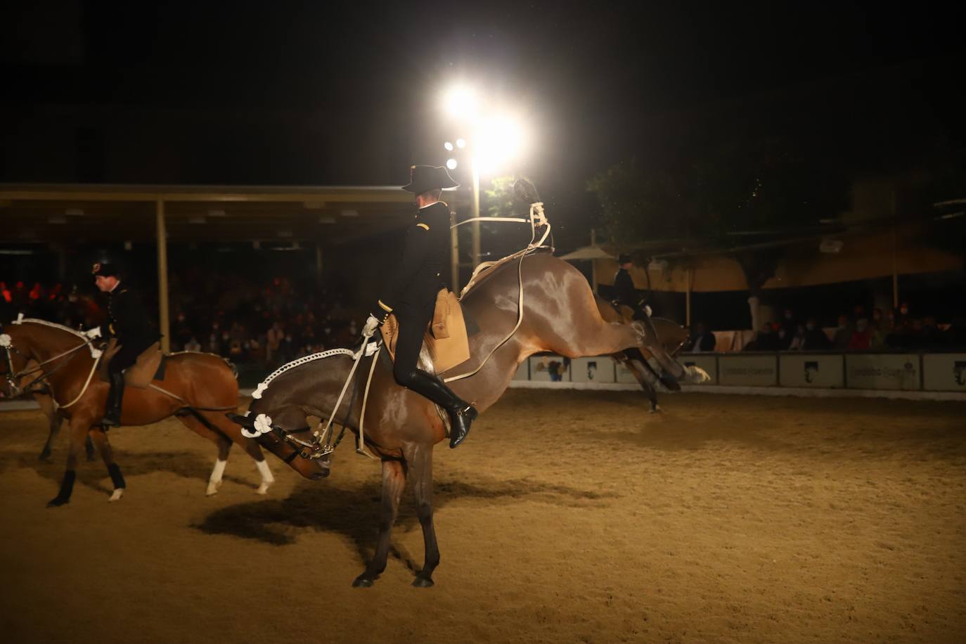 El espectáculo de Cadre Noir en Caballerizas Reales, en imágenes