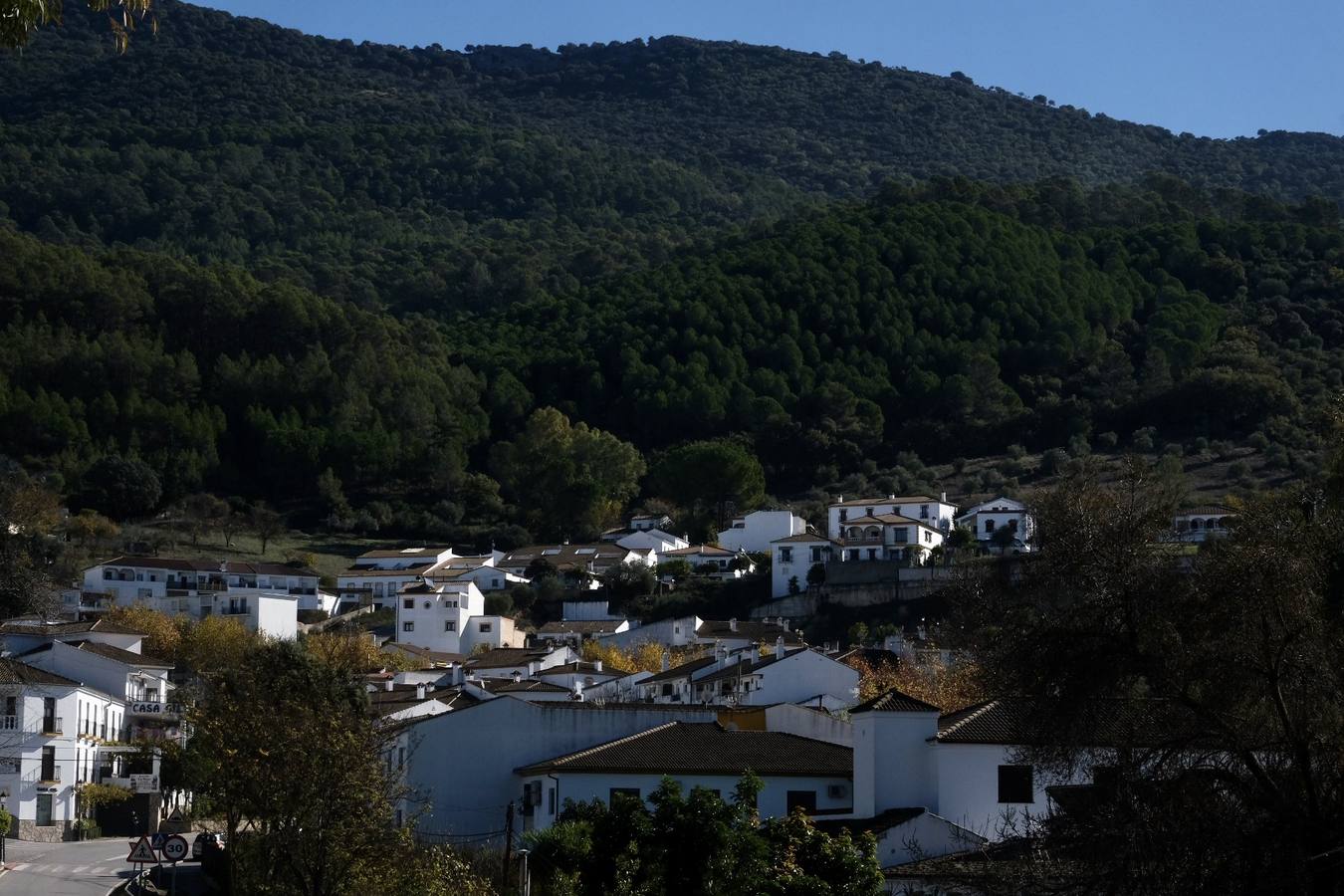 Fotos: La Sierra de Cádiz durante el Puente de Diciembre