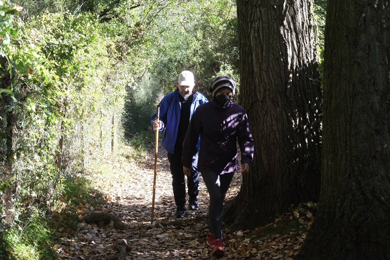 Fotos: La Sierra de Cádiz durante el Puente de Diciembre