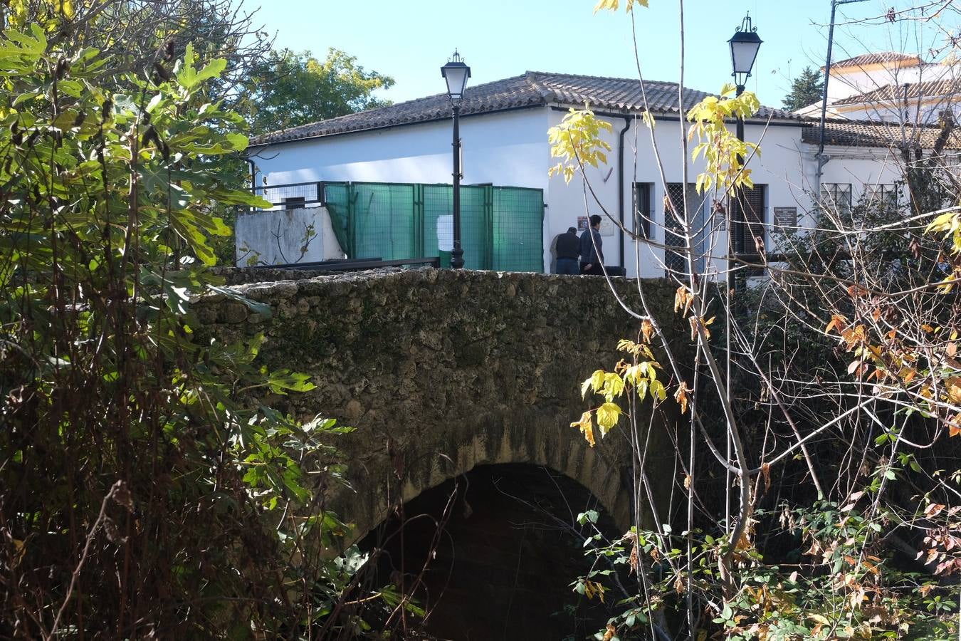 Fotos: La Sierra de Cádiz durante el Puente de Diciembre