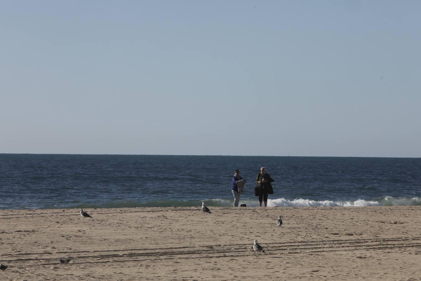 Fotos: Ambiente en Cádiz el Día de la Constitución