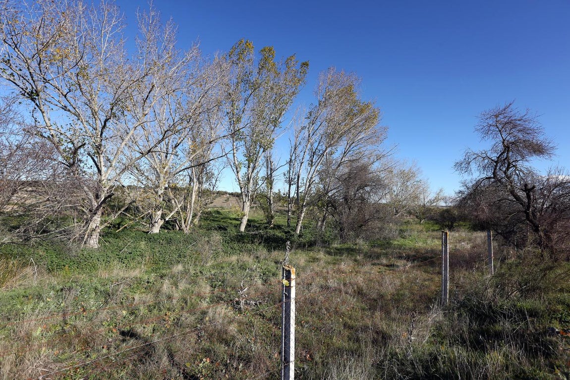 El yacimiento de Guarrazar, en imágenes