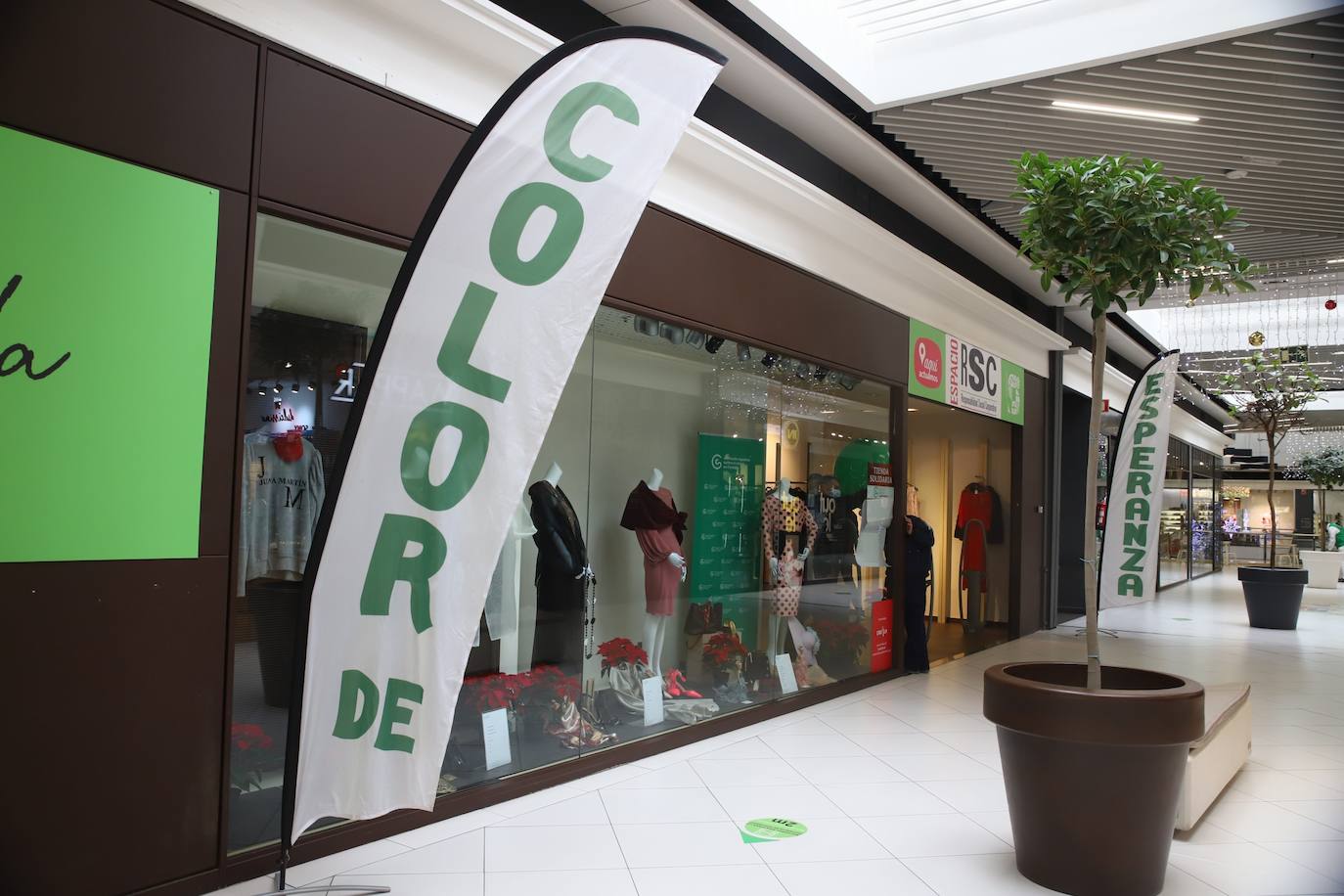 La inauguración de la tienda solidaria de la Asociación contra el Cáncer en Córdoba, en imágenes