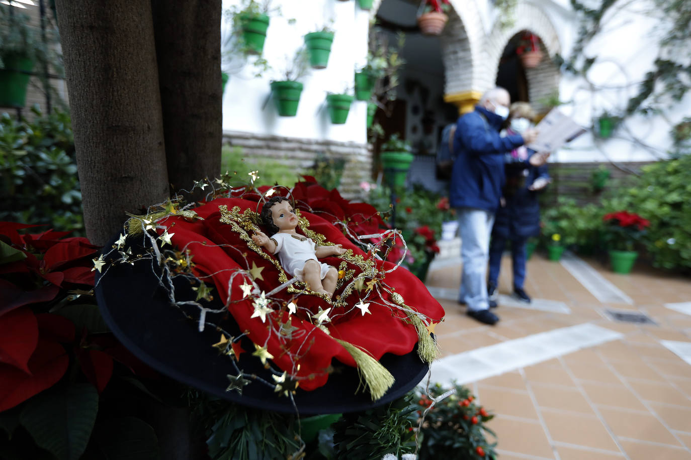 La apertura de los Patios de Córdoba en Navidad, en imágenes