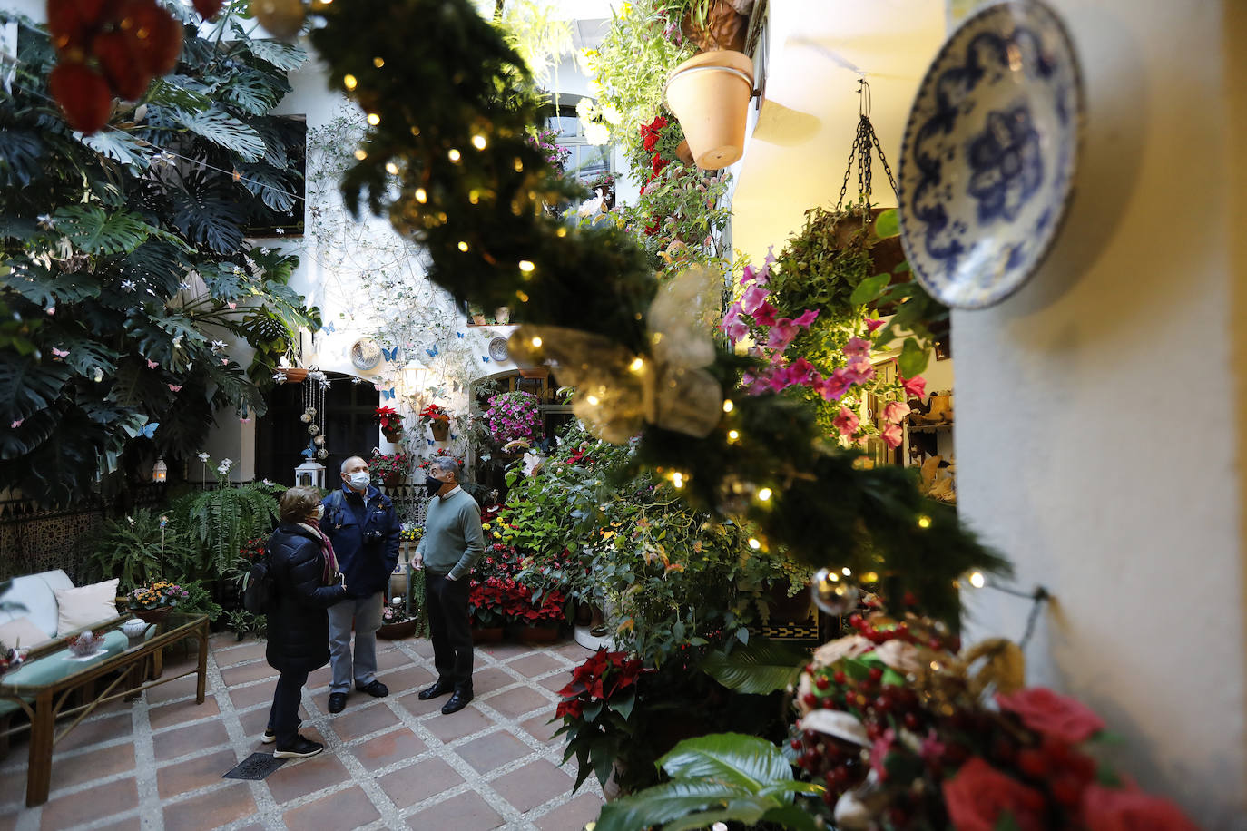 La apertura de los Patios de Córdoba en Navidad, en imágenes