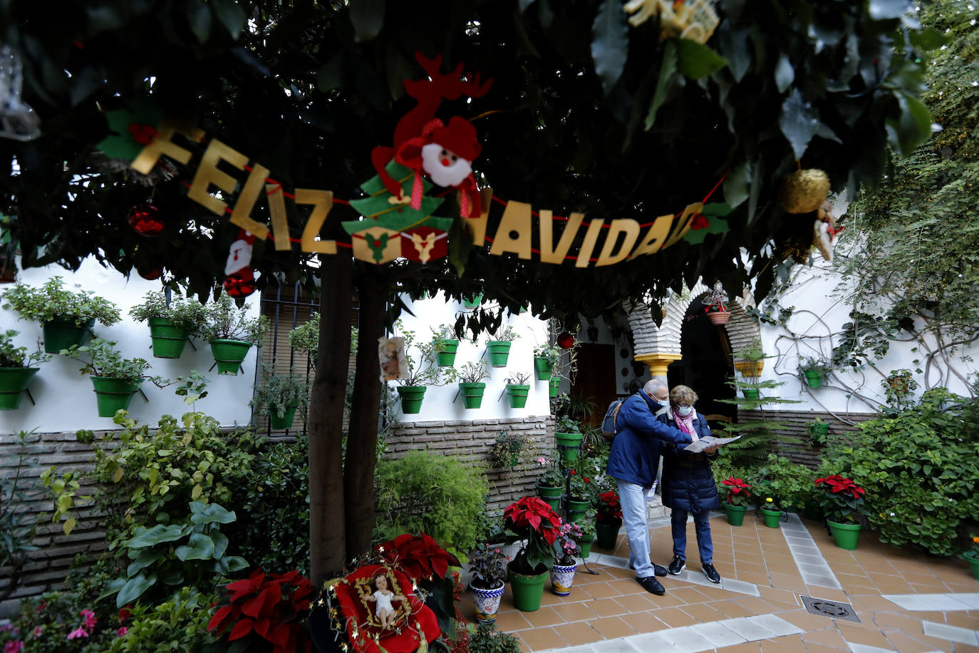 La apertura de los Patios de Córdoba en Navidad, en imágenes