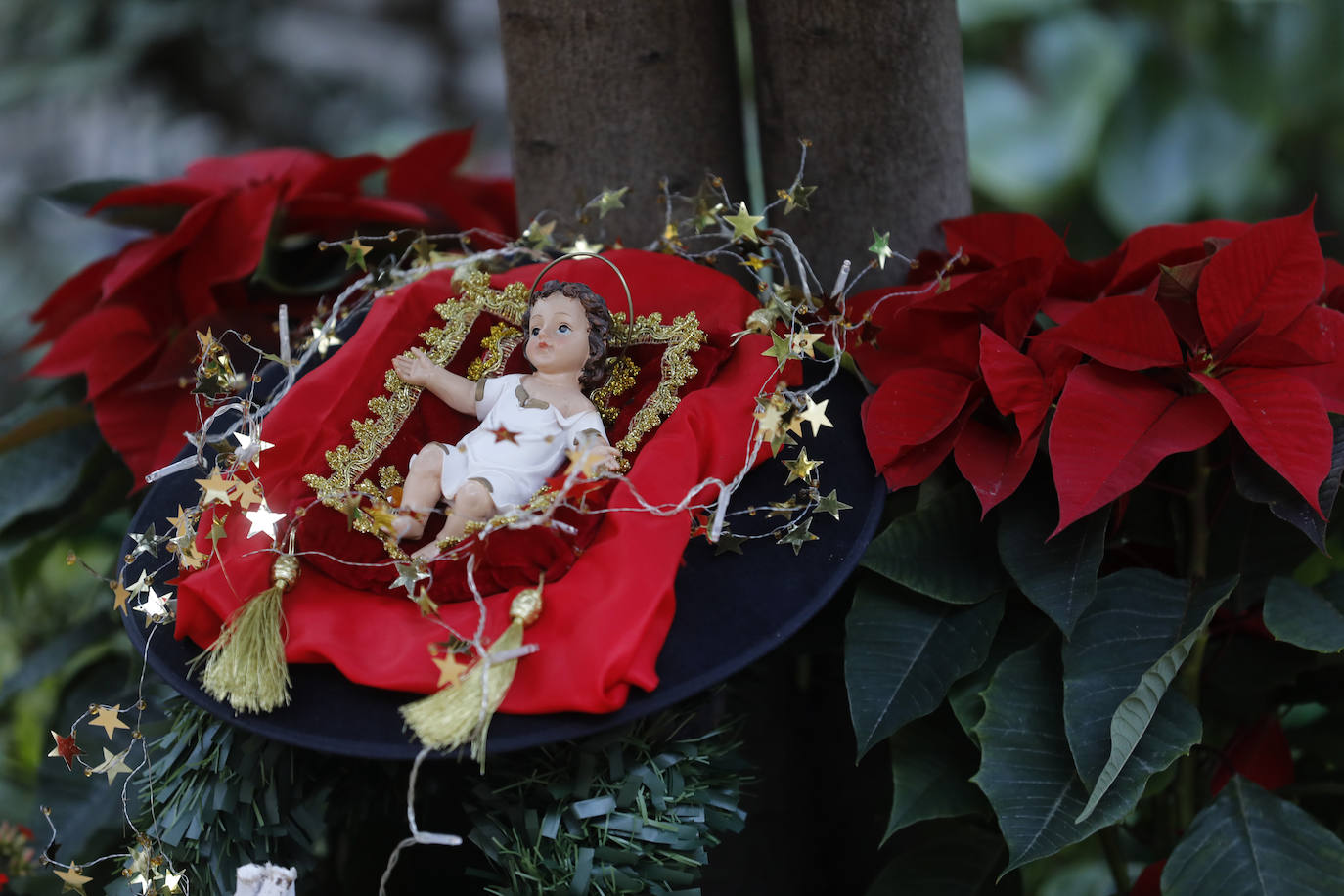 La apertura de los Patios de Córdoba en Navidad, en imágenes