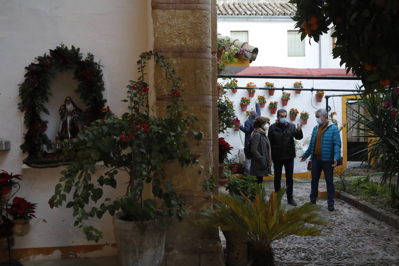 La apertura de los Patios de Córdoba en Navidad, en imágenes