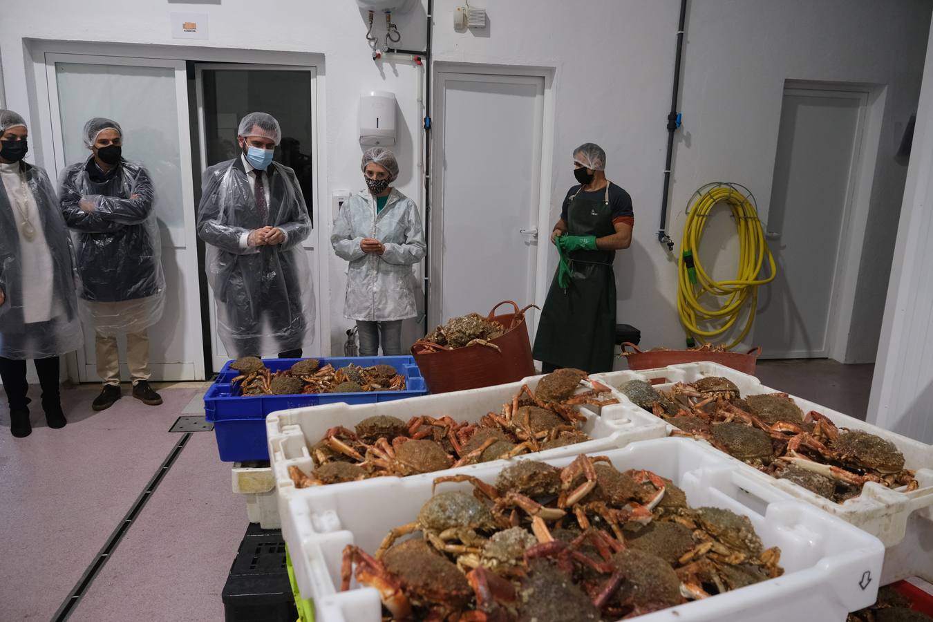 FOTOS: Cetárea, bogavantes y centollos vivos en la Zona Franca de Cádiz