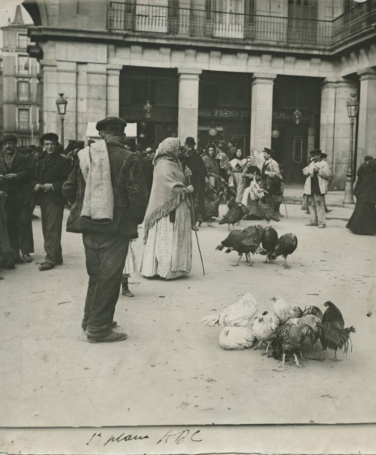 En la pascua de Navidad los vendedores de pavos se reunían en la Plaza Mayor (1912). 