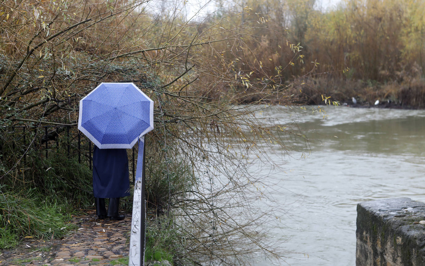 El impacto de las lluvias en el Guadalquivir en Córdoba, en imágenes