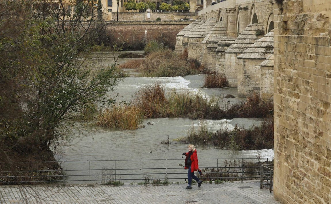 El impacto de las lluvias en el Guadalquivir en Córdoba, en imágenes
