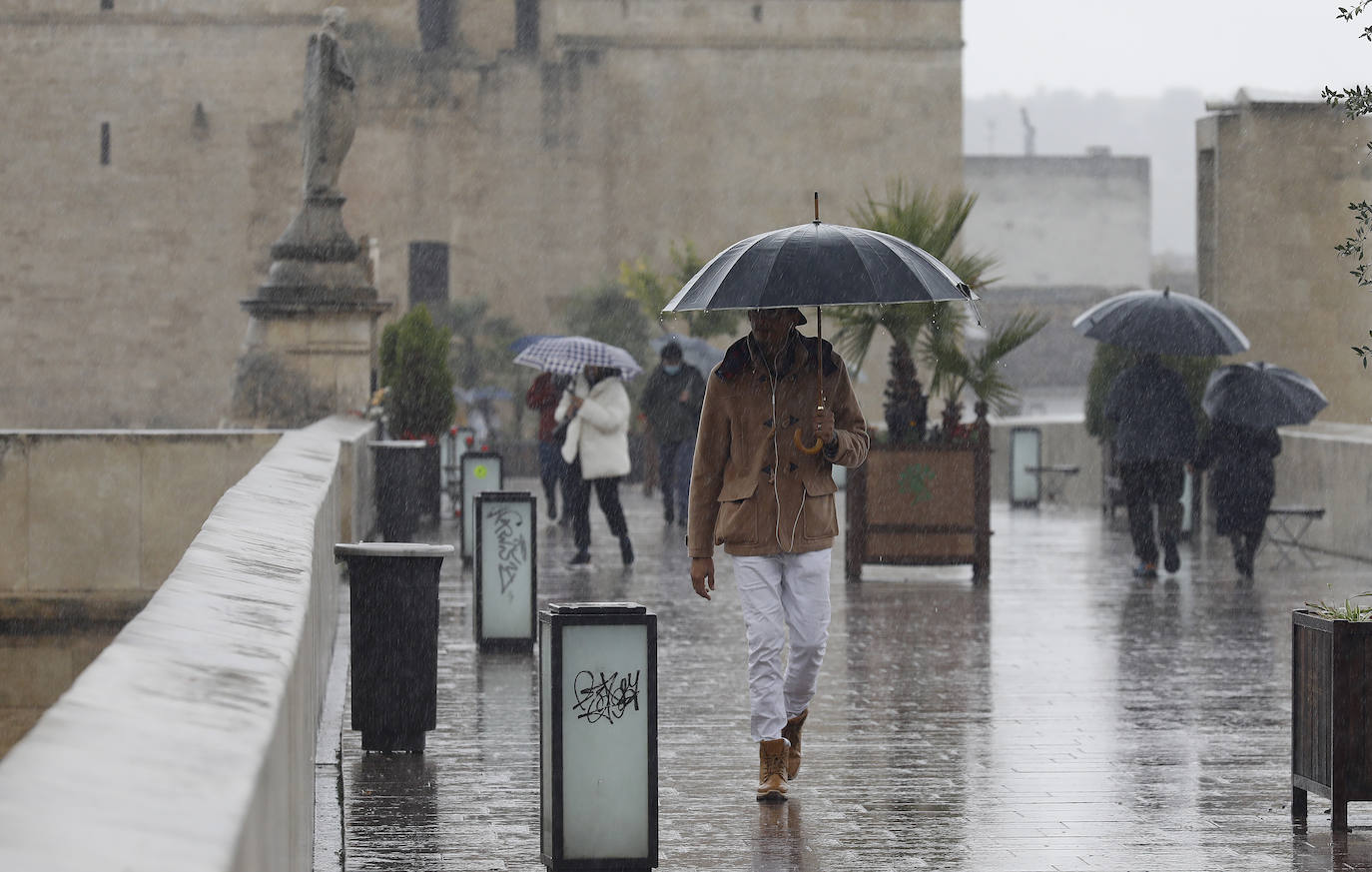 El impacto de las lluvias en el Guadalquivir en Córdoba, en imágenes