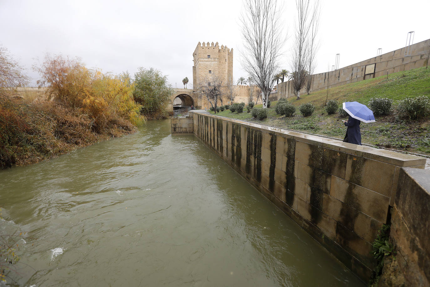 El impacto de las lluvias en el Guadalquivir en Córdoba, en imágenes