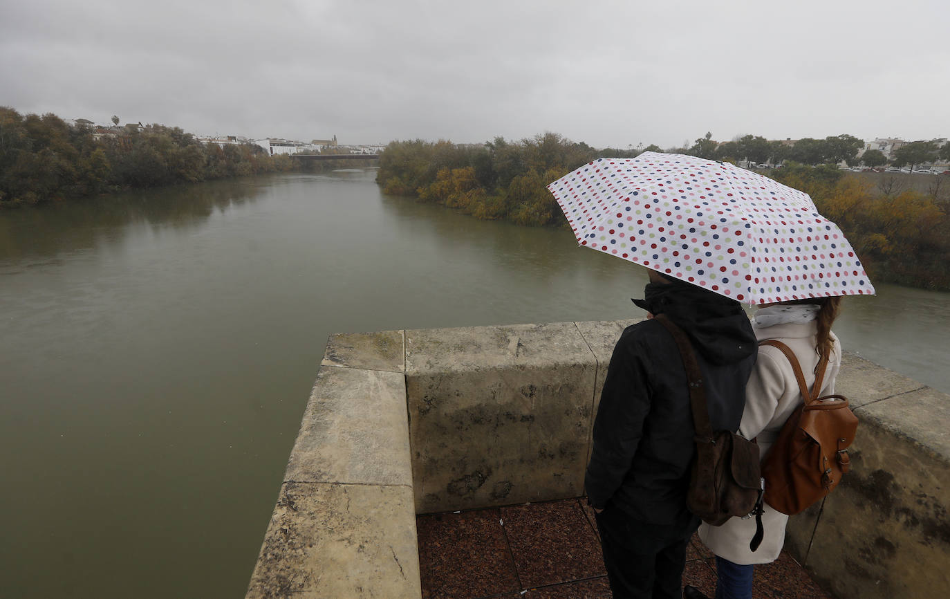 El impacto de las lluvias en el Guadalquivir en Córdoba, en imágenes