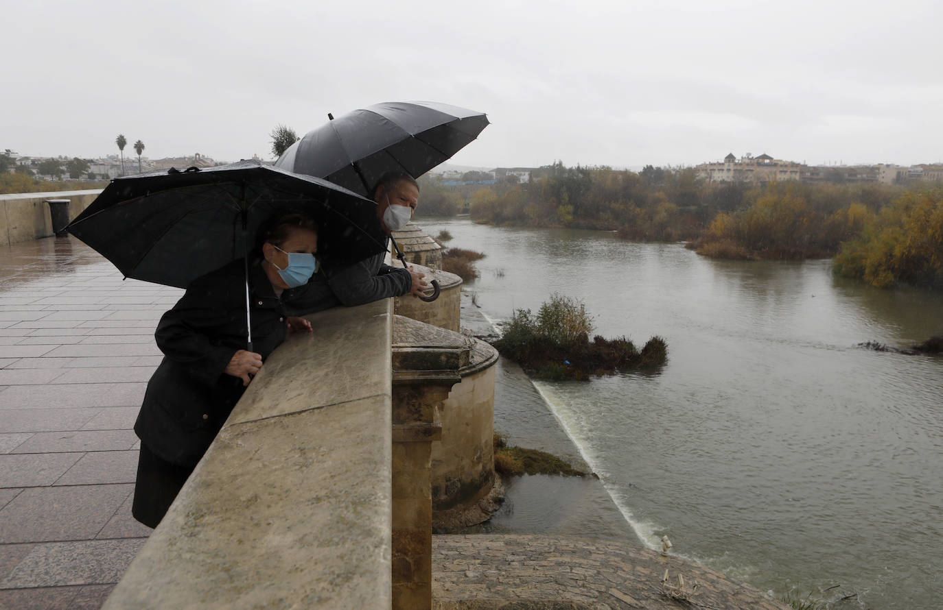 El impacto de las lluvias en el Guadalquivir en Córdoba, en imágenes