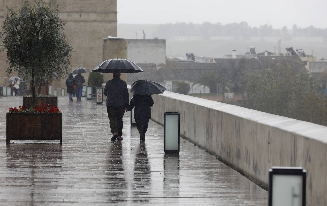 El impacto de las lluvias en el Guadalquivir en Córdoba, en imágenes