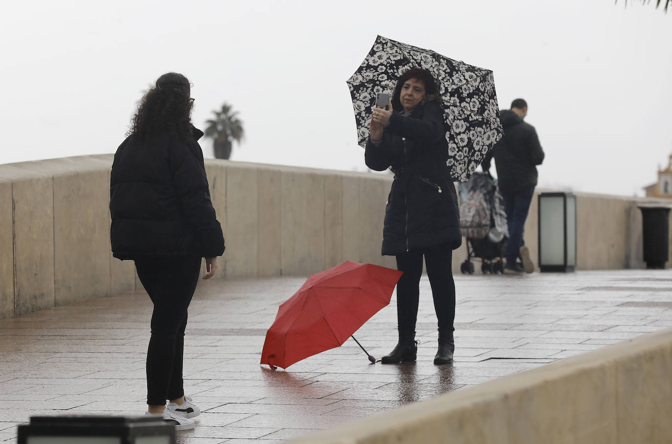 El impacto de las lluvias en el Guadalquivir en Córdoba, en imágenes