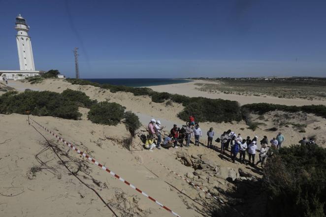 10 de mayo. Los Caños de Meca se ha mostrado este año como otro potencial ‘Baelo Claudia’. Los investigadores descubrieron un yacimiento en la playa de Trafalgar, que podría corresponder a una antigua factoría de salazones de época romana.