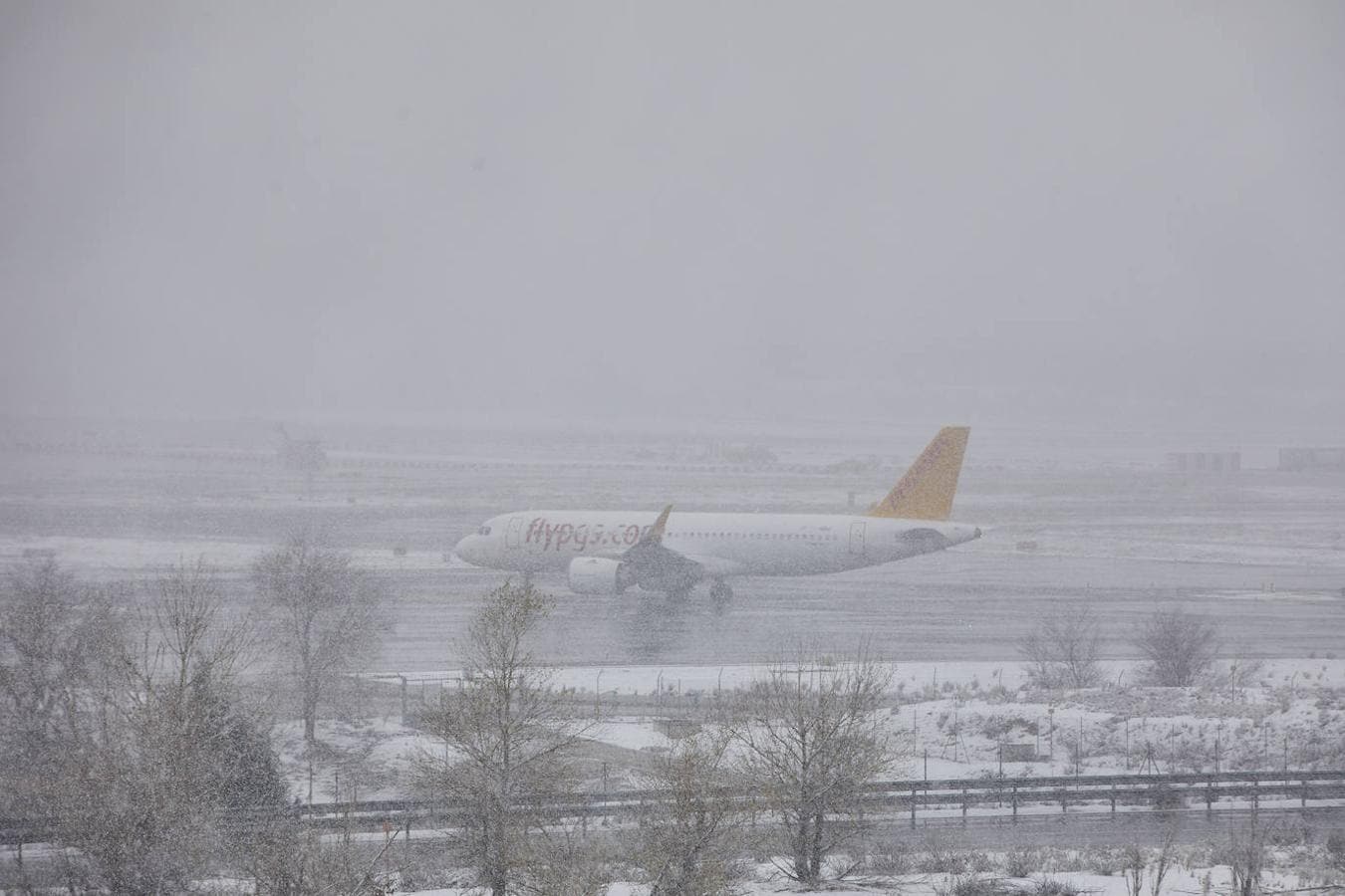 Barajas bajo la nieve. La nieve no se saltó en aeropuerto, que tuvo en primera instancia que cancelar algunos vuelos.