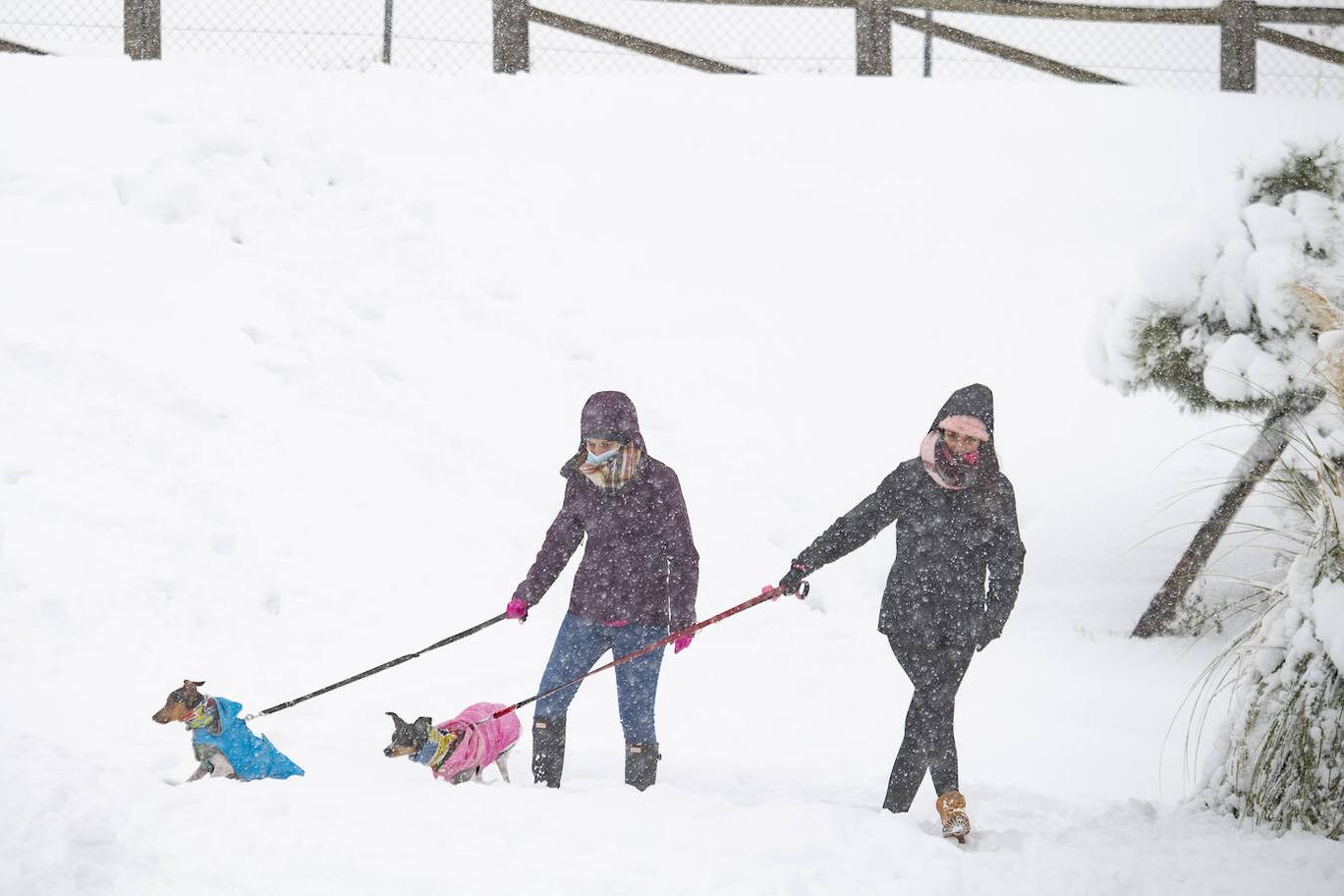 Lejos del centro.... Más allá del centro de Madrid, el resto de la Comunidad también se llenó de copos y más copos de nieve.