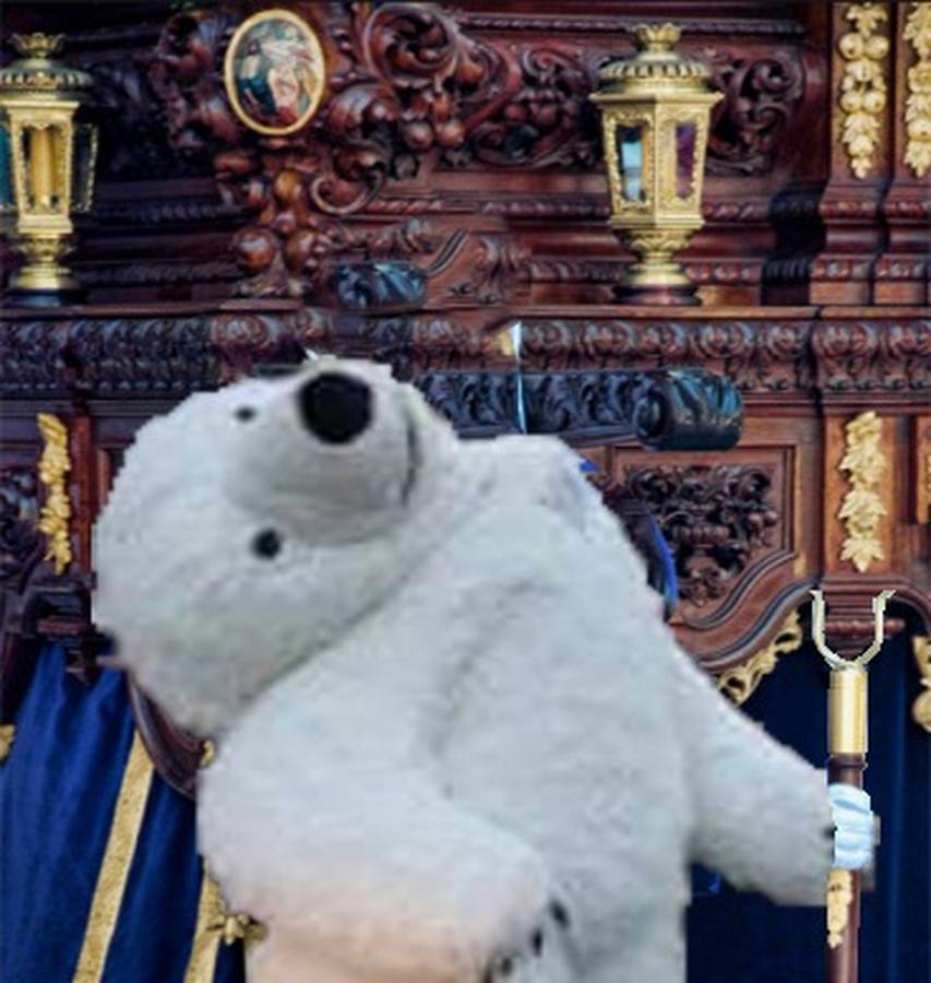 Los memes de la Cabalgata de Reyes Magos de Cádiz: un oso polar perjudicado da la vuelta al mundo
