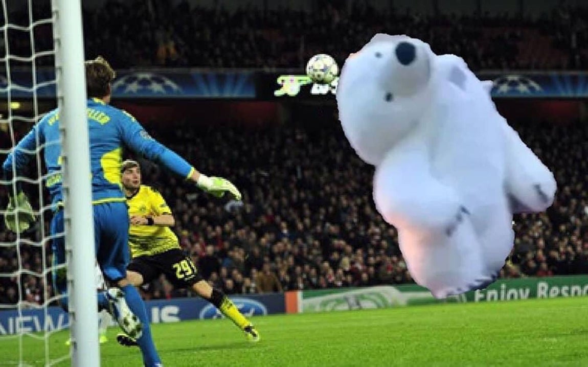 Los memes de la Cabalgata de Reyes Magos de Cádiz: un oso polar perjudicado da la vuelta al mundo