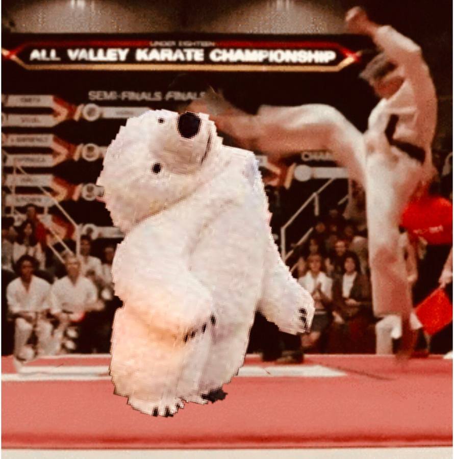 Los memes de la Cabalgata de Reyes Magos de Cádiz: un oso polar perjudicado da la vuelta al mundo