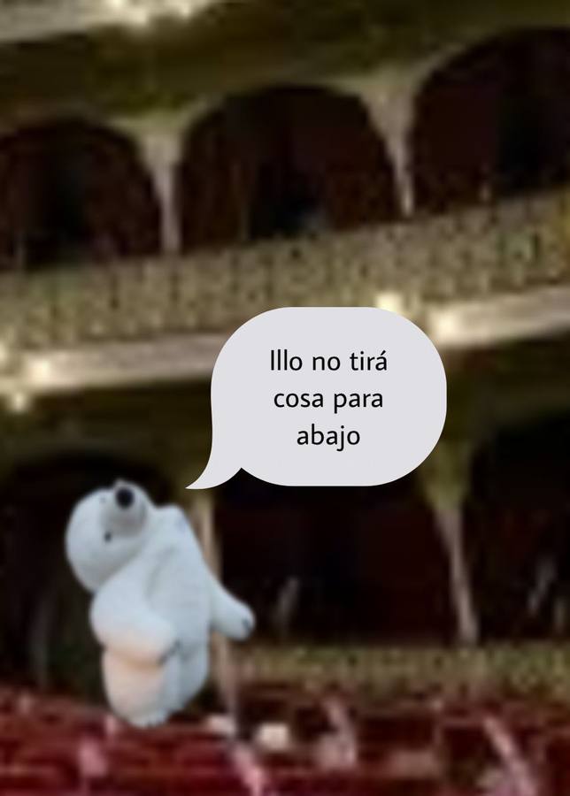 Los memes de la Cabalgata de Reyes Magos de Cádiz: un oso polar perjudicado da la vuelta al mundo